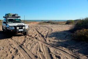 From our camp site to the water, its a bit of a walk after Double Beach