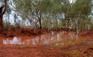 The puddle that was slowly becoming a lake