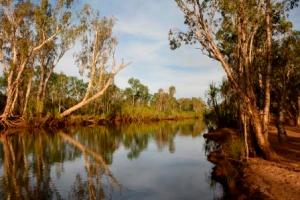 Miners Pool - Drysdale Station