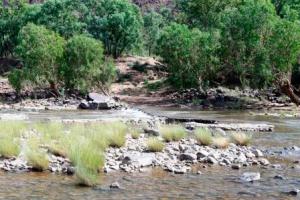 The old Victoria River Crossing
