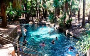 Mataranka Thermal Springs
