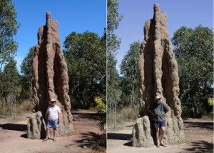 Termite Mounds