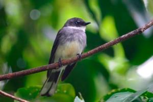 Broadwater Camp Visitor