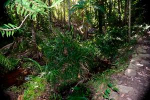 Byfield National Park