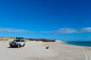 Sandy Cape, Fraser Island