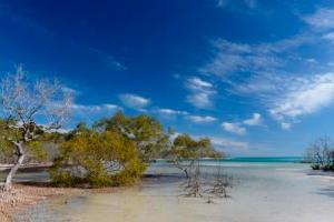 Wathumba Creek, Fraser Island