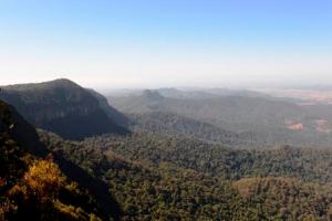 Best of All Lookout, Springbrook
