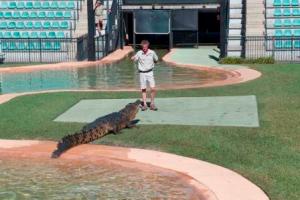 Crocodile feeding at Australia Zoo