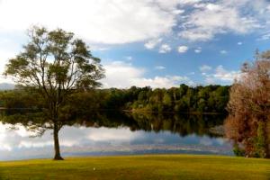 Rocky Creek Falls Dam