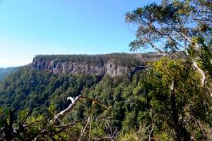 Springbrook Plateau