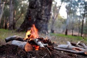 Campfire at Barmah National Park