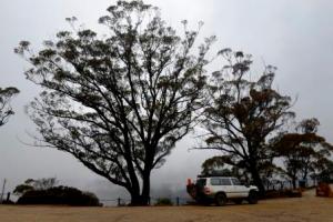 Hargraves Lookout, Blue Mountains